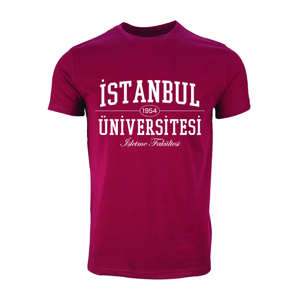Istanbul Üniversitesi Isletme Fakültesi Model 1