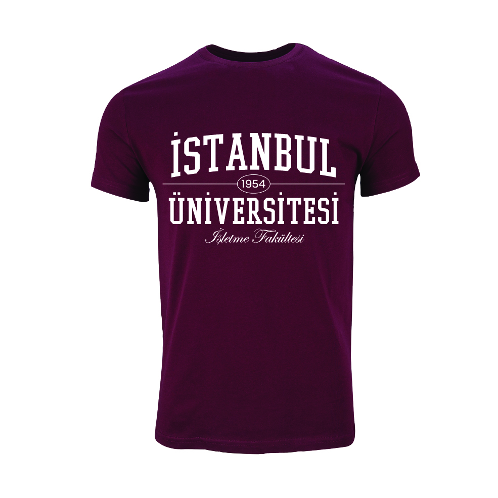 Istanbul Üniversitesi Isletme Fakültesi Model 1